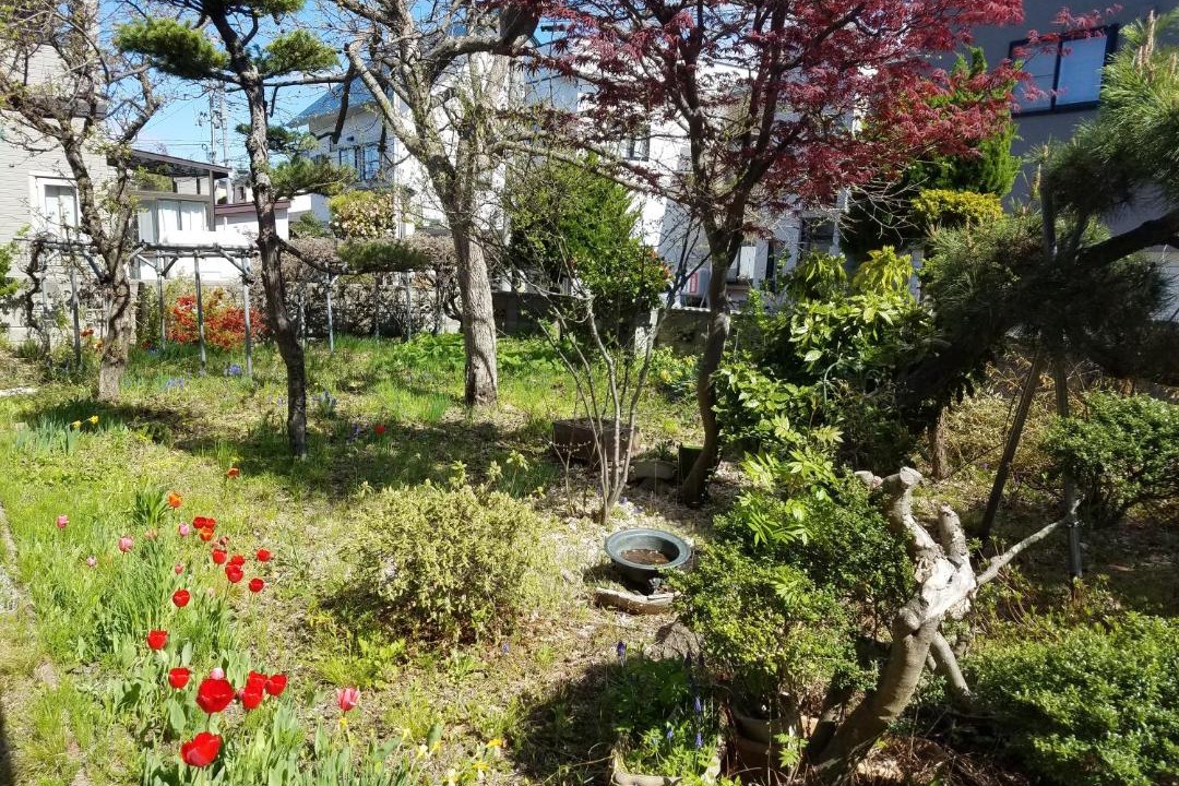 Photo of Others in Aomori