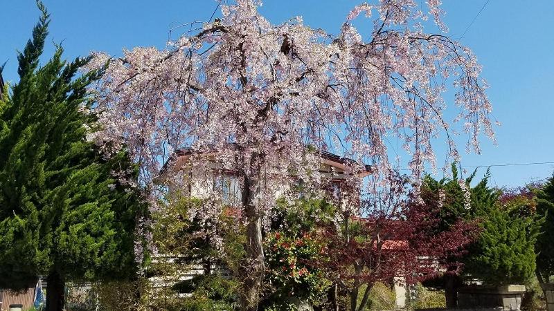 Photo of Outdoor in Aomori