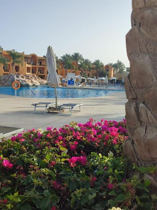 Photo of Others in Makadi Bay