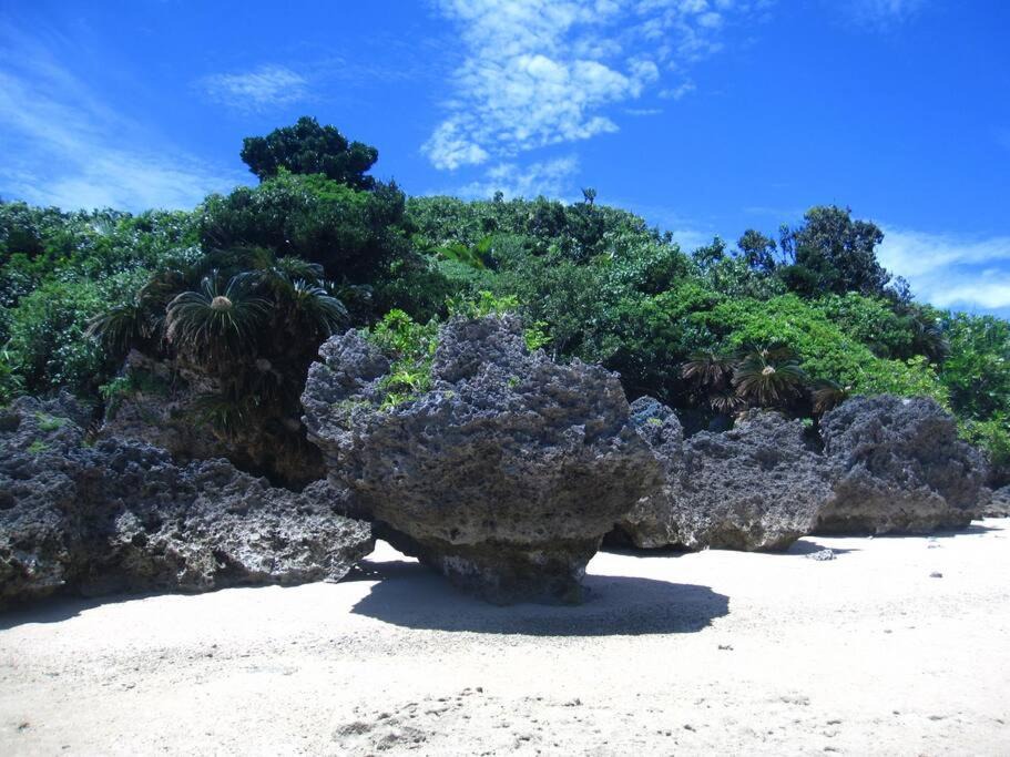Photo of Others in Taketomi-jima Taketomi-cho