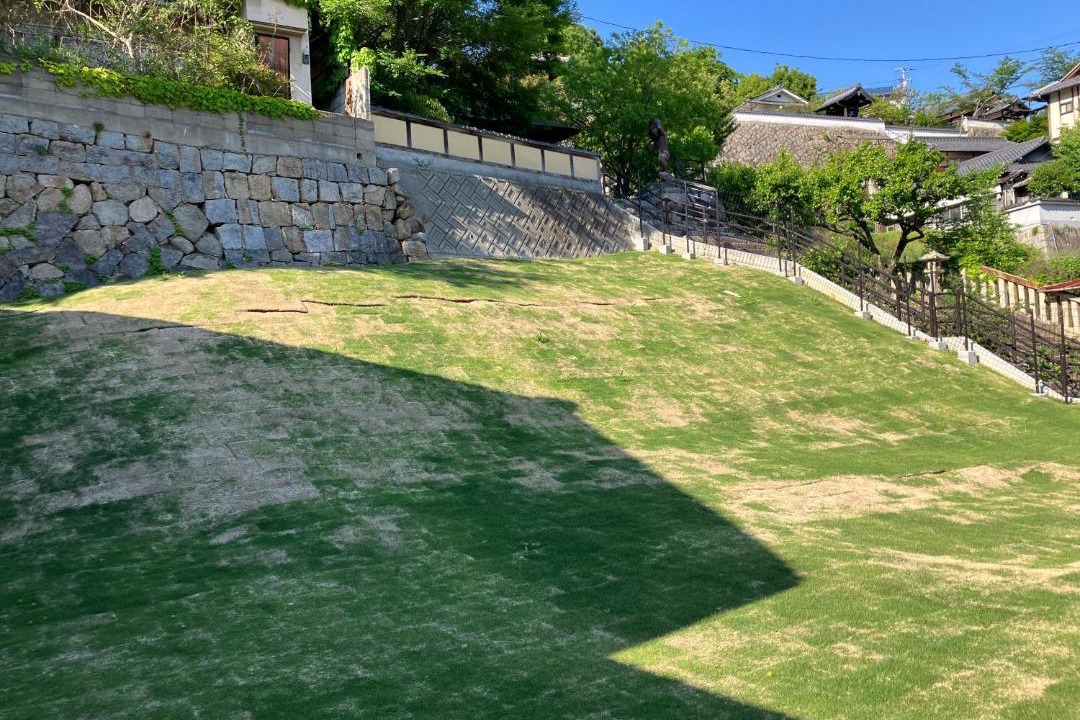 Photo of Others in Onomichi