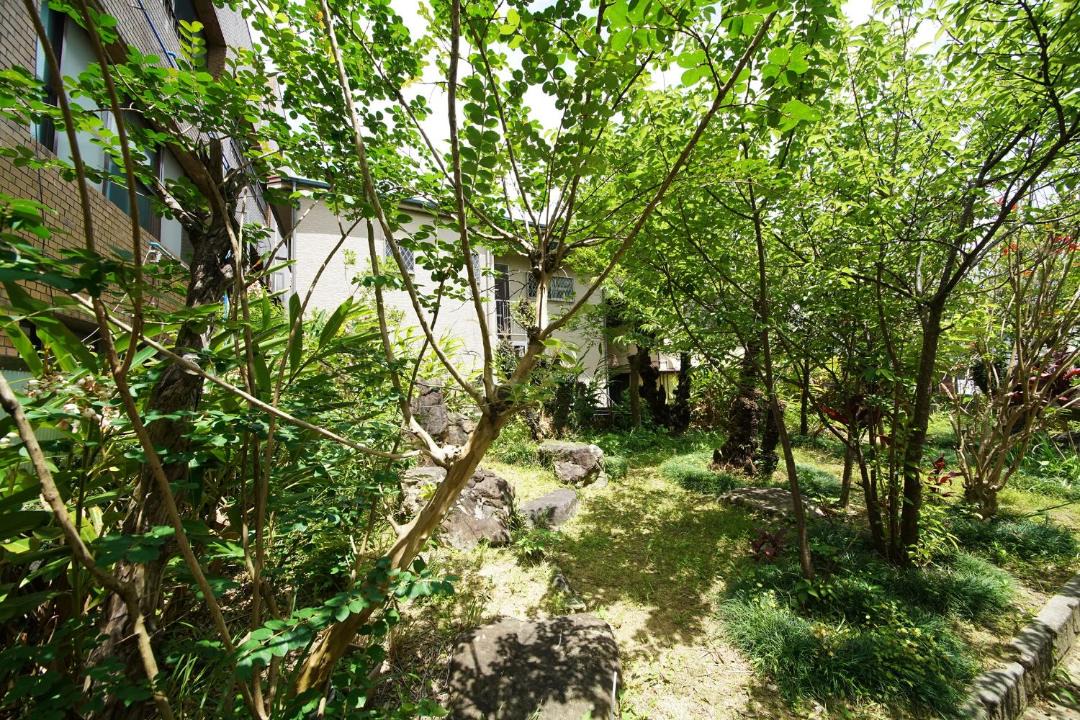 Photo of Others in Amami