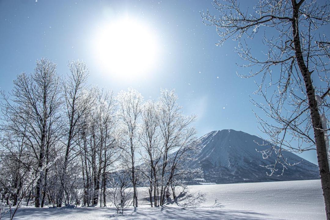 Photo of Others in Hirafu