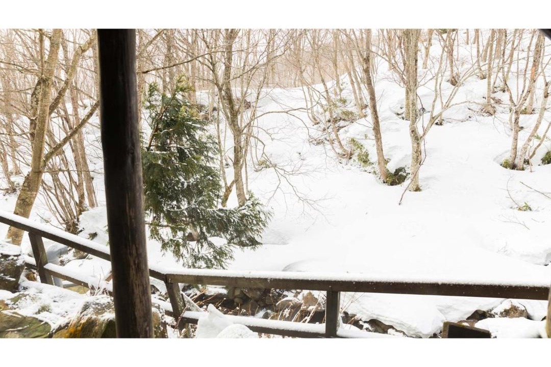 Photo of Others in Nakanosawa Onsen