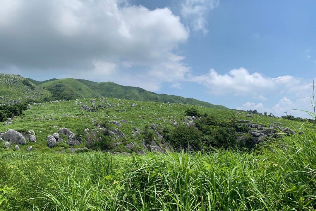 Photo of Others in Nogata