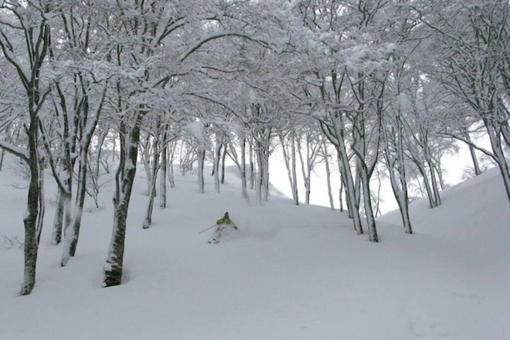 Photo of Others in Otari-mura
