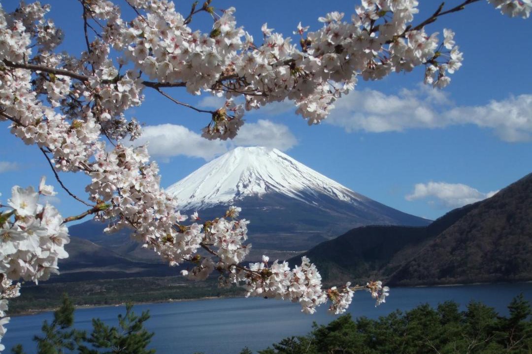 Photo of Others in Minobu