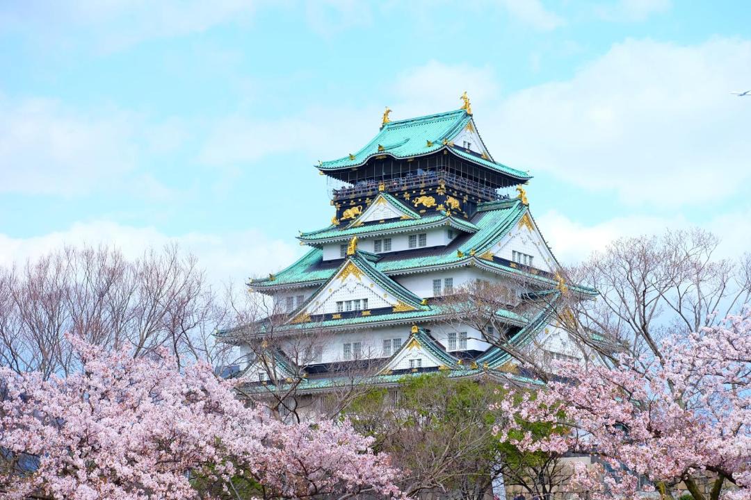 Photo of Others in Nishinari