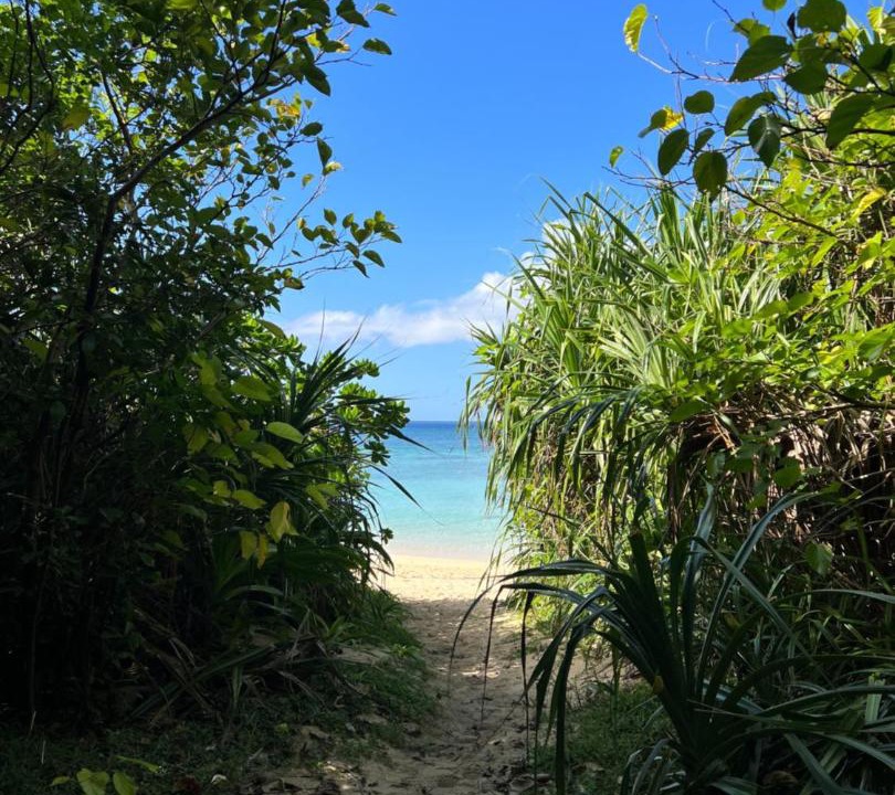 Photo of Others in Ishigaki