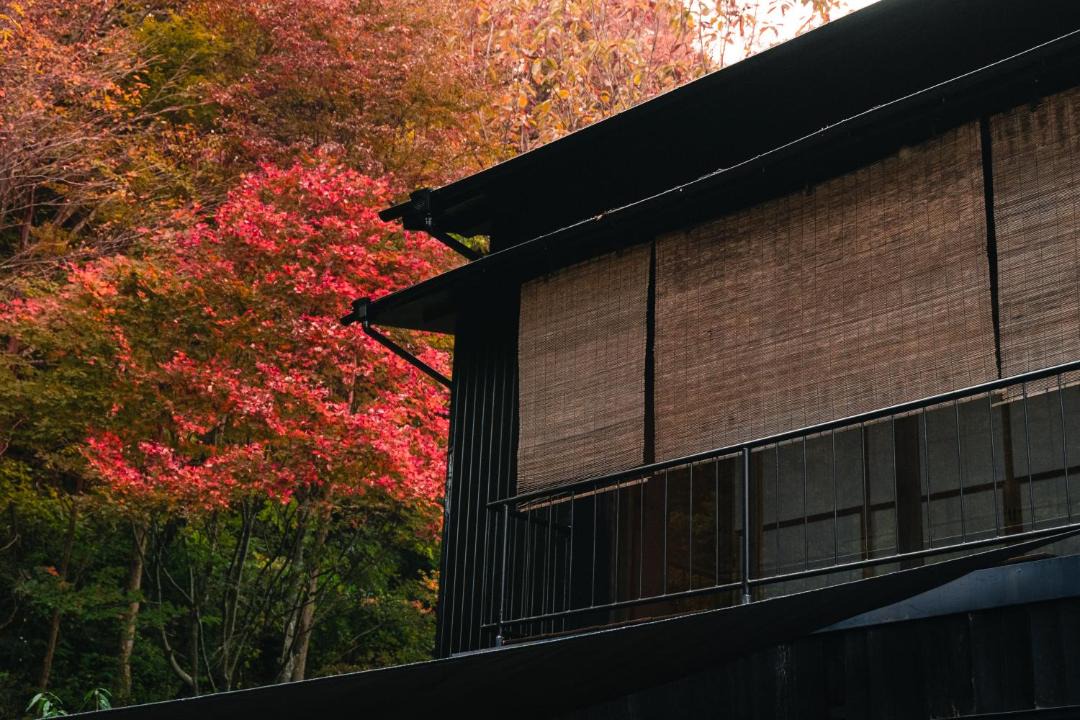 Photo of Others in Hakone
