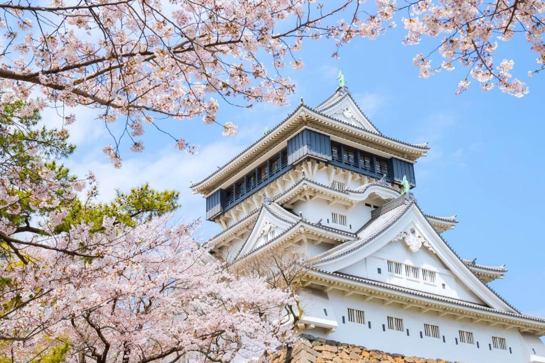 Photo of Others in Kitakyushu