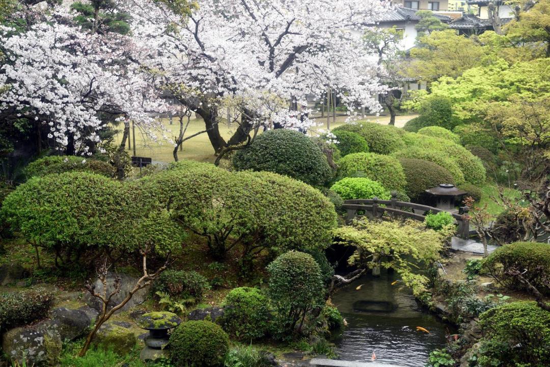 Photo of Others in Kurume