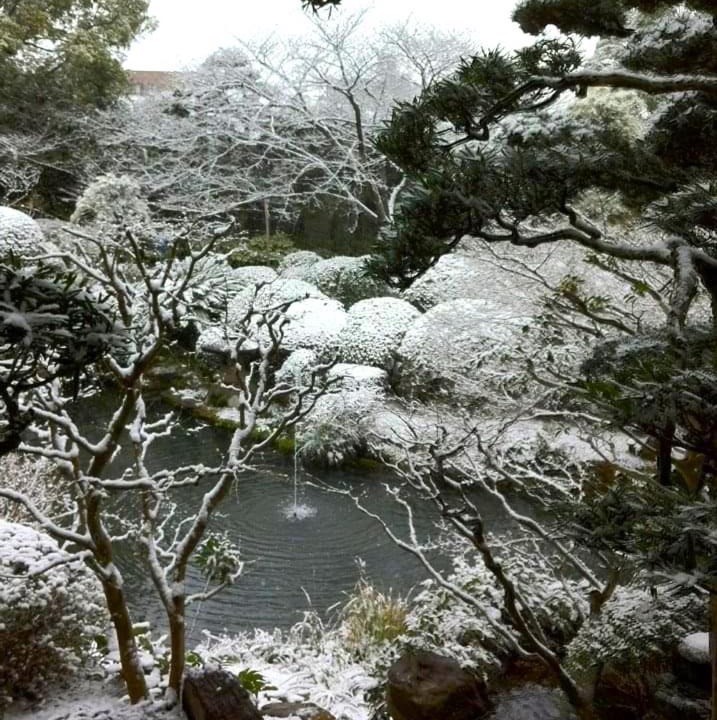 Photo of Others in Kurume