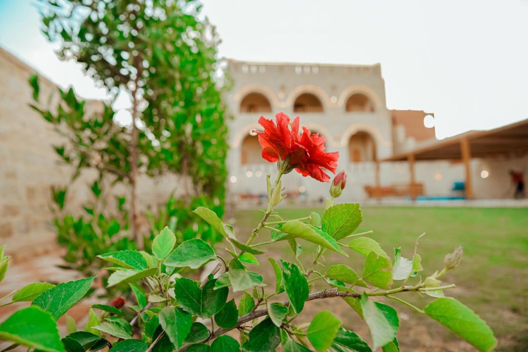 Photo of Others in Tunis Village