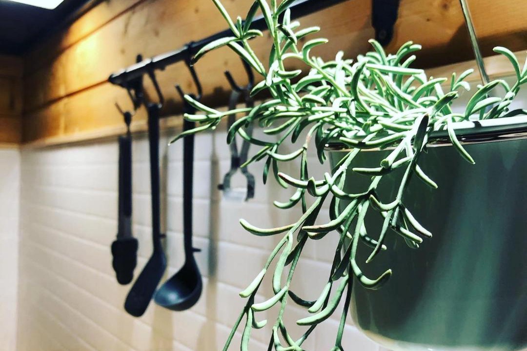 Photo of Kitchen in Tsumagoi