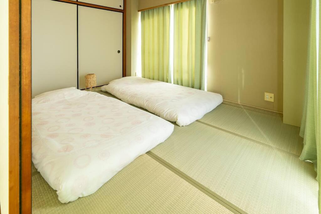 Photo of Others in Sakura