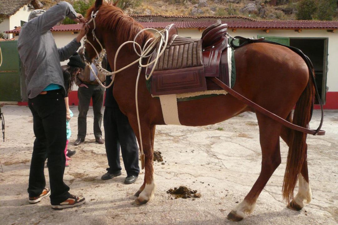Photo of Others in Puno