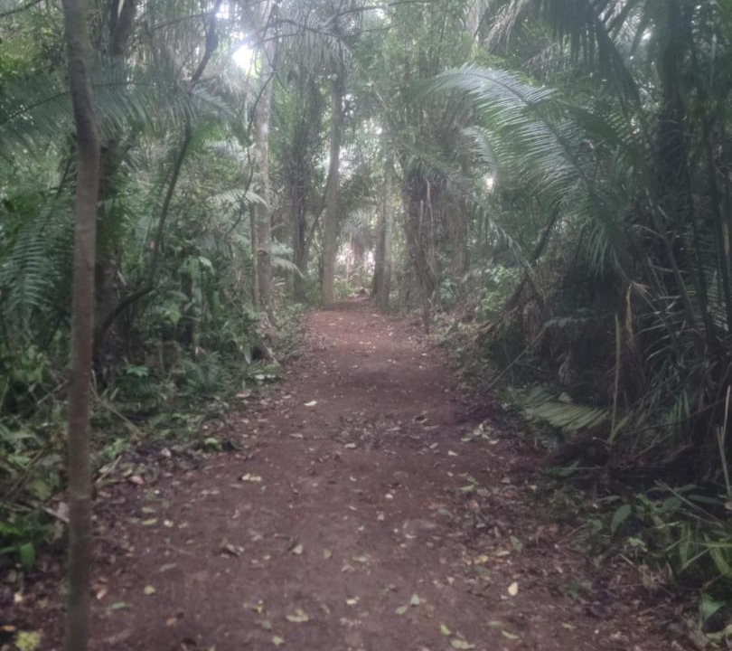 Photo of Others in Puerto Maldonado