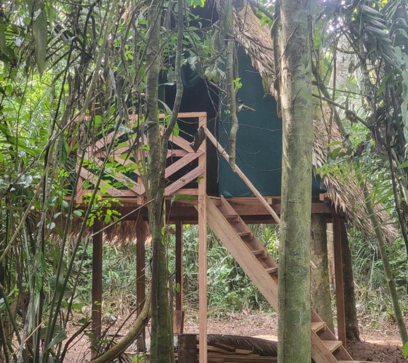 Photo of Others in Puerto Maldonado