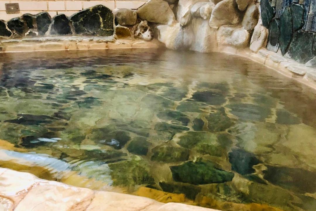 Photo of Others in Tsubaki Onsen