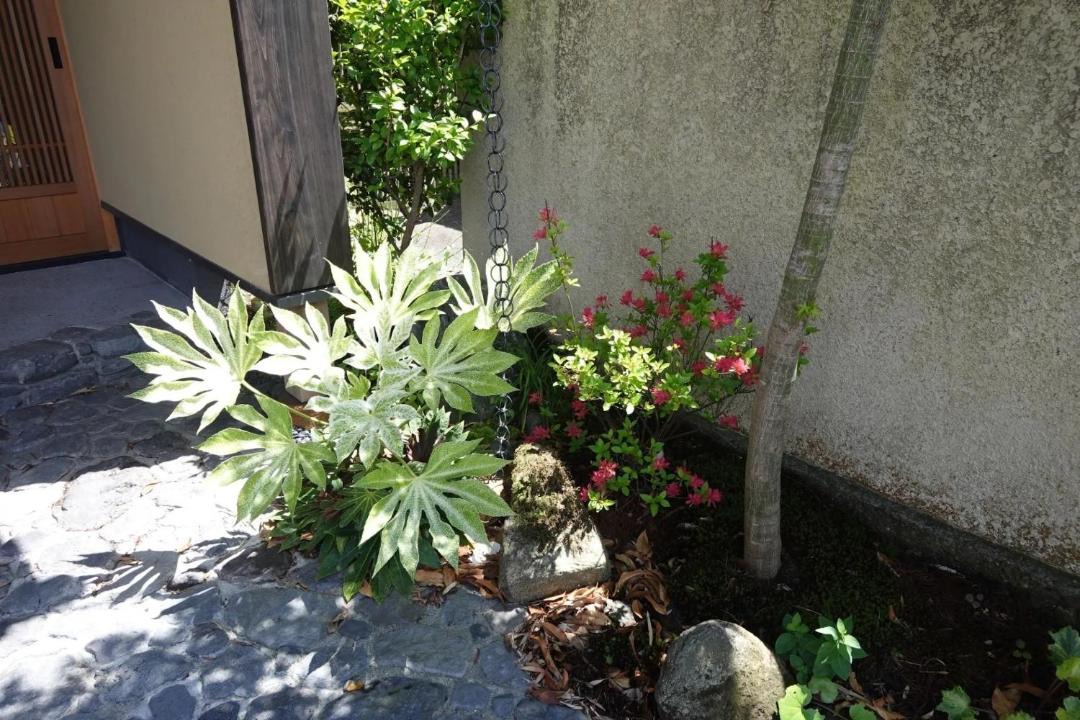 Photo of Others in Kamakura