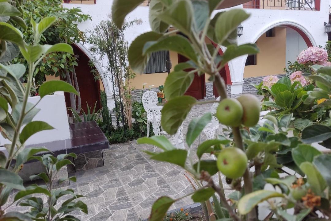 Photo of Others in San Francisco de Asis