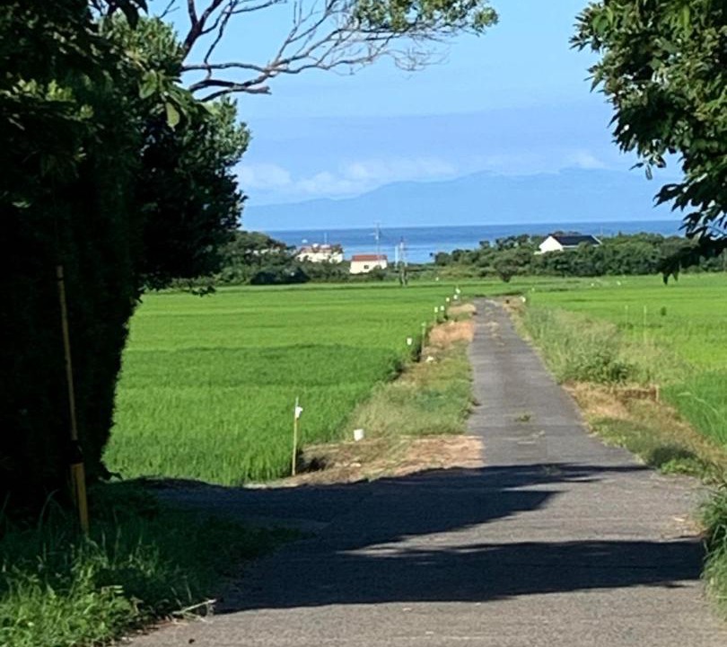 Photo of Others in Tateyama