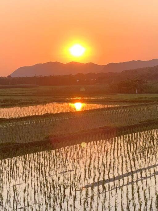 Photo of Others in Tateyama