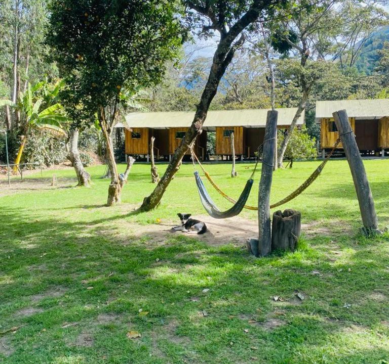 Photo of Others in Santa Teresa