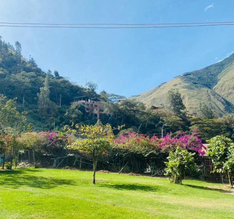Photo of Others in Santa Teresa