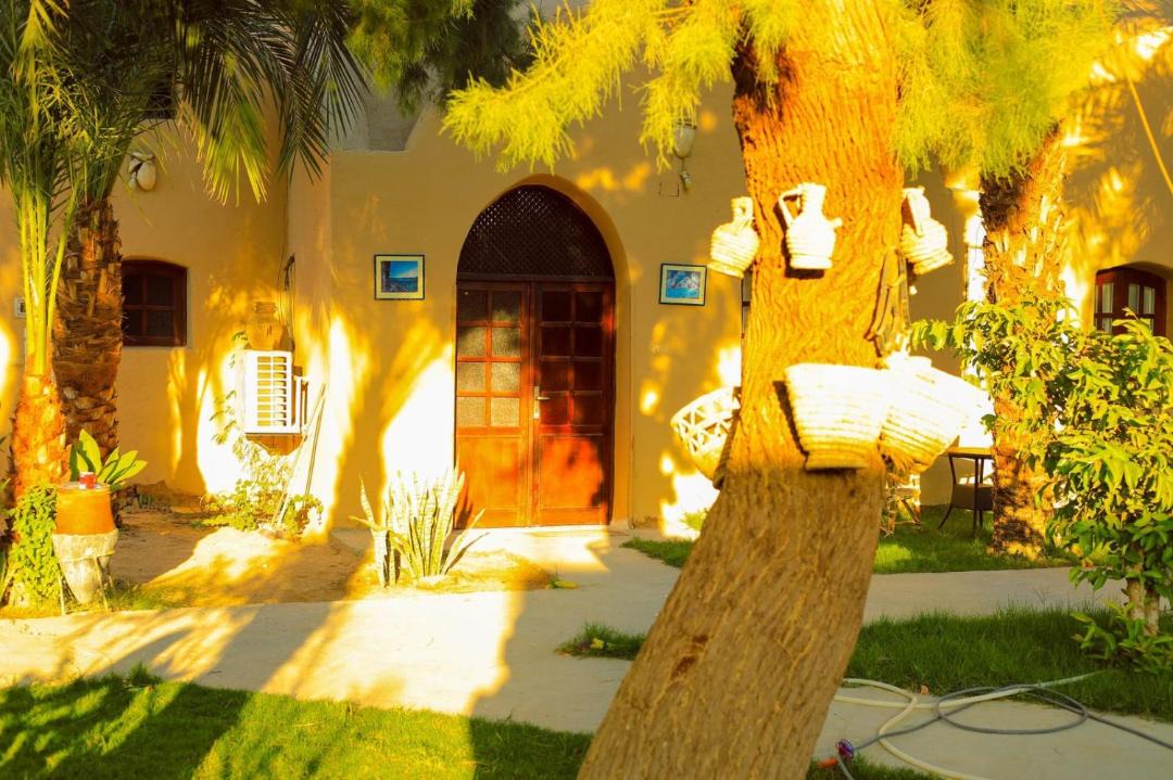 Photo of Others in Luxor
