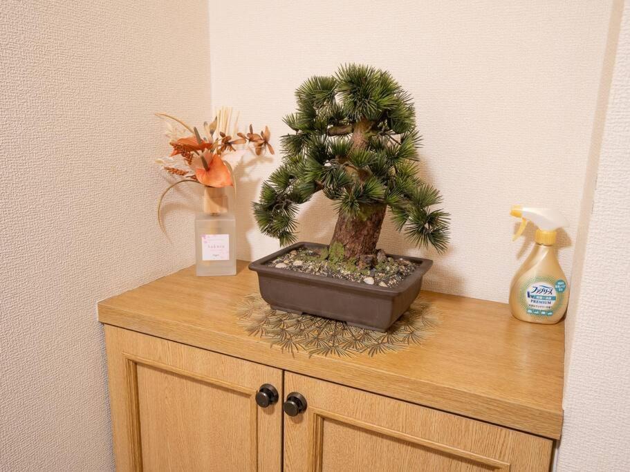Photo of Others in Sakura
