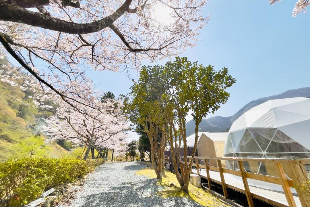 Photo of Buildings in Yamakita