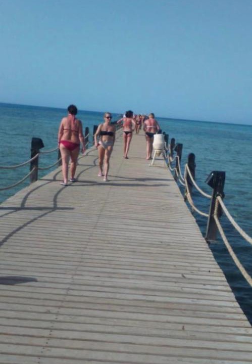 Photo of Others in Al Ahyaa