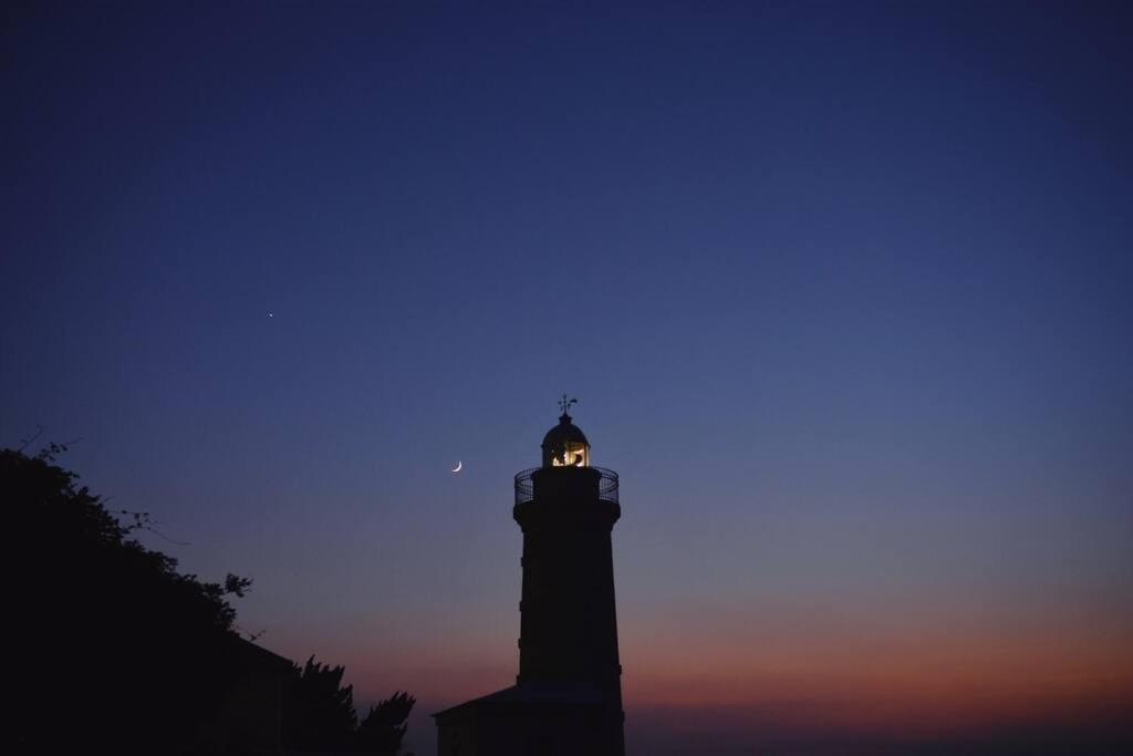 Photo of Others in Ogishima