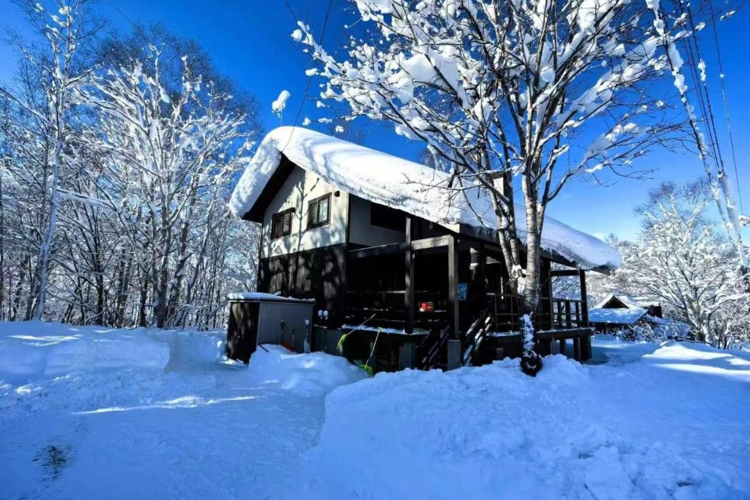Photo of Others in Niseko