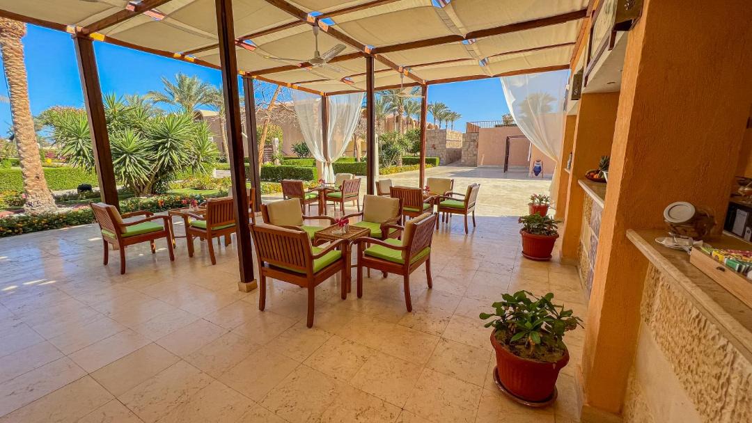 Photo of Others in Marsa Alam