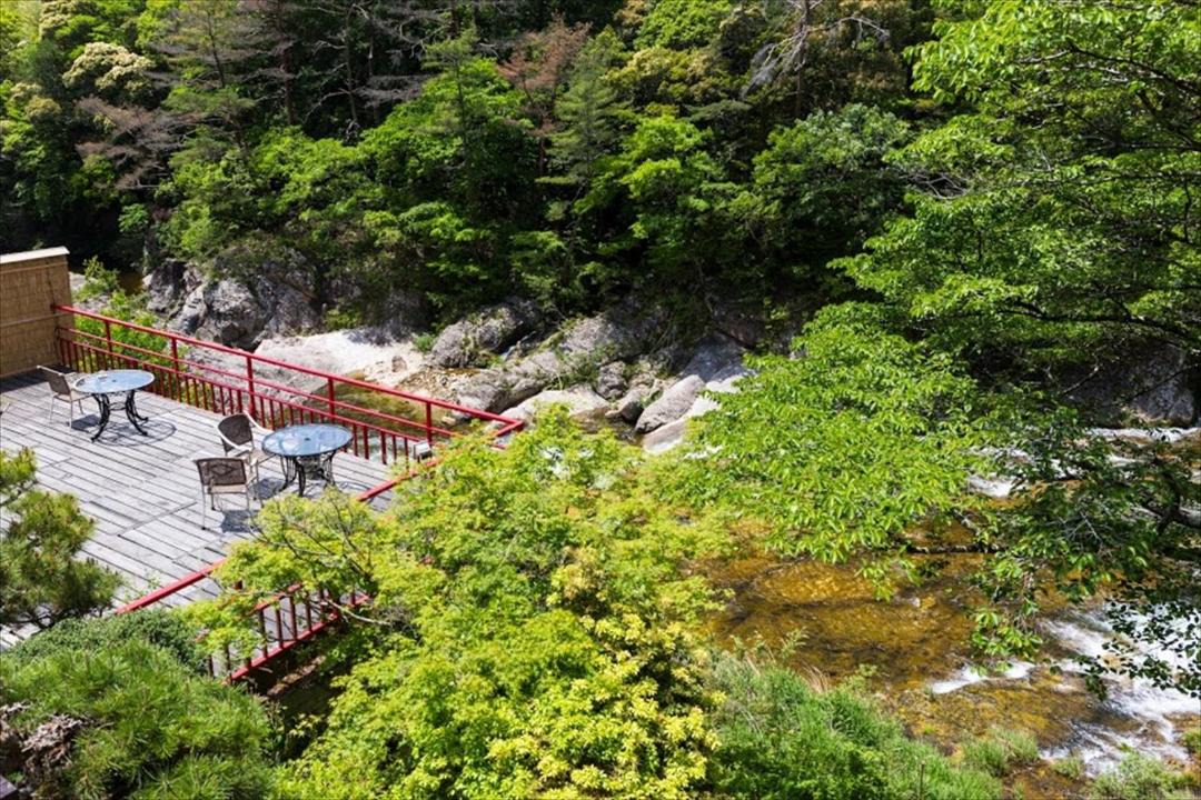 Photo of Others in Shinshiro
