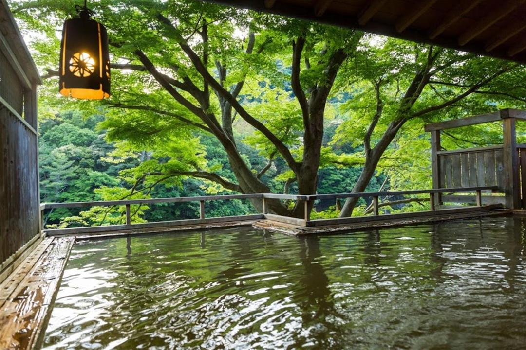 Photo of Others in Shinshiro