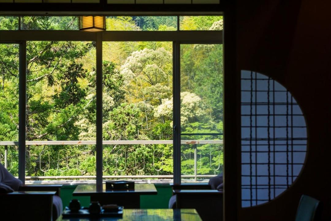 Photo of Others in Shinshiro