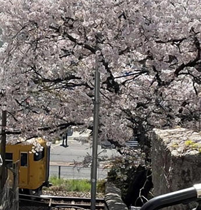 Photo of Others in Onomichi