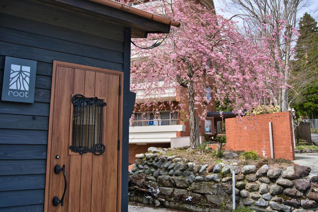 Photo of Others in Hakone