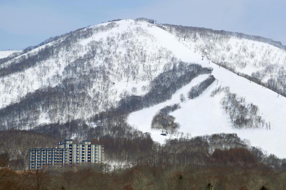 Photo of Others in Niseko