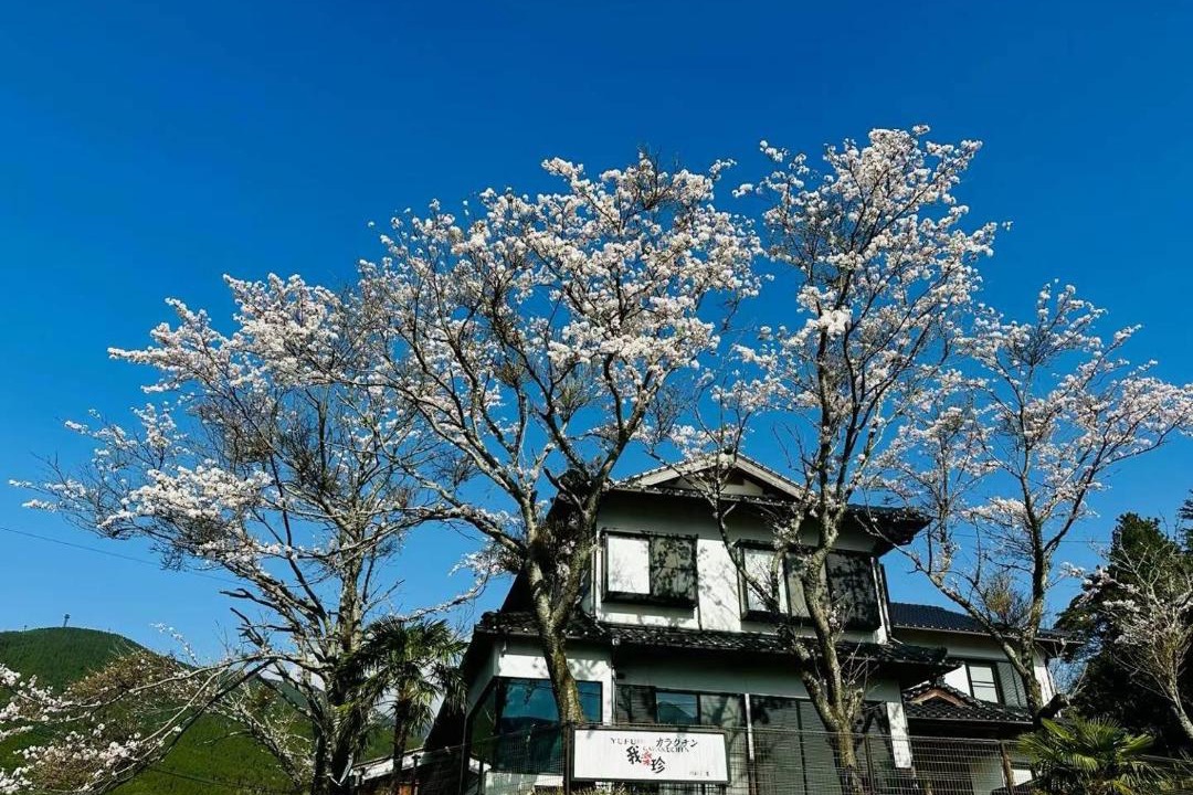 Photo of Others in Yufuin Onsen