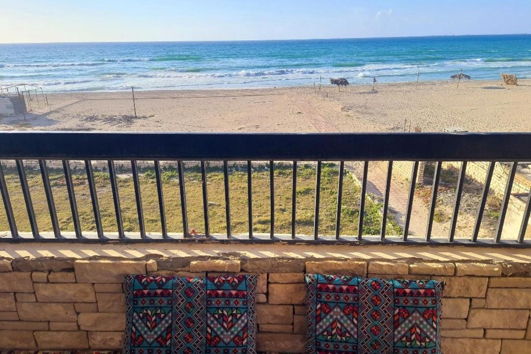 Photo of Others in Alexandria