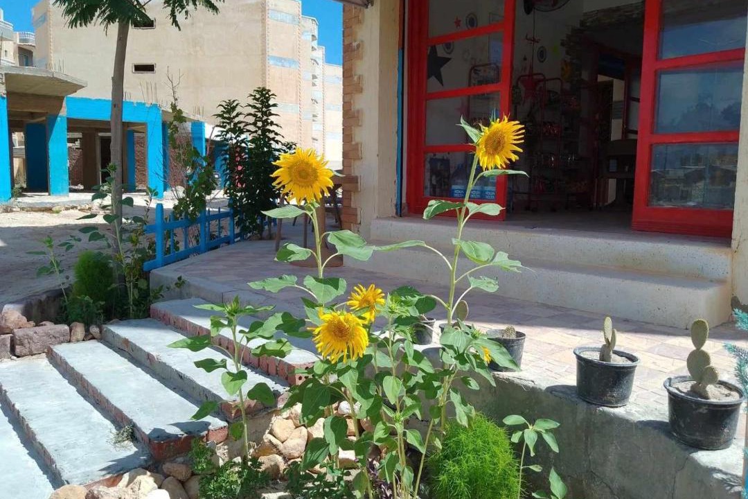 Photo of Others in Marsa Matruh