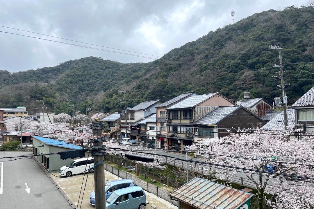 Photo of Others in Kinosaki Onsen