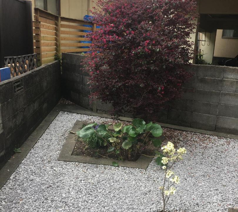Photo of Others in Miyazaki