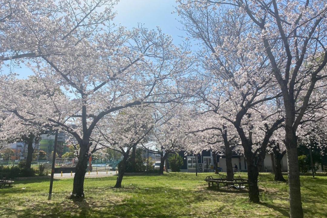 Photo of Others in Naniwa