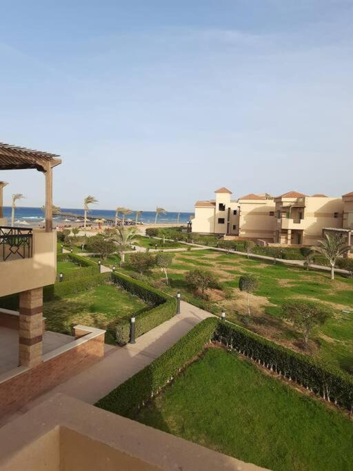 Photo of Others in Zafarana